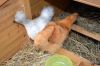 17_september_2011_28329.JPG