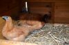 17_september_2011_28429.JPG