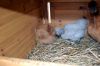 17_september_2011_28829.JPG