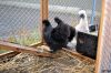 17_september_2011_28929.JPG