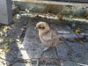 2012-05-07_15_00_38.jpg