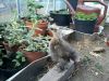 2012-06-02_17_03_46.jpg