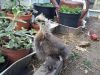 2012-06-02_17_03_49.jpg