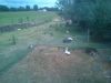 WP_002295.jpg