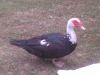 WP_002392.jpg