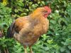 DSC03503.JPG