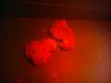 2012-04-23-855.jpg