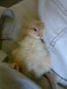2012-04-23-861.jpg