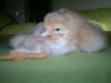 2012-04-23-891.jpg