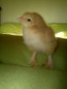 2012-04-25-1105.jpg