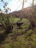 Billeder_fra_Iphone_183~0.JPG