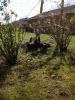 Billeder_fra_Iphone_186~0.JPG