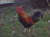DSC00064.JPG