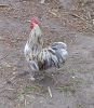 DSC00563.jpg