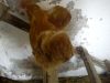 DSC00568~1.jpg