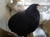 DSC00569~0.jpg