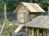 DSC00218.JPG