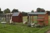 Projekt_nye_honsehuse_d_08_09_2013-09-23.jpg