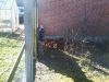 38142_Billede0597.jpg