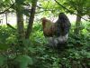Filnavn=image.jpeg
Filstørrelse=191KiB
Dimensioner=1024x768
Dato for tilføjelse=%23 %692, %2016 image.jpeg