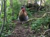 Filnavn=image~1.jpeg
Filstørrelse=242KiB
Dimensioner=1024x768
Dato for tilføjelse=%23 %692, %2016 image~1.jpeg