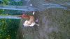 WP_20150702_003.jpg